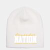 Adult Knit Beanie Thumbnail