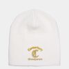 Adult Knit Beanie Thumbnail